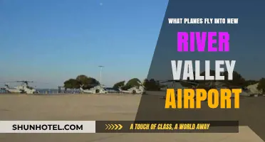 Discovering Flights: Which Planes Serve New River Valley Airport?