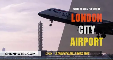 London City Airport's Fleet: Exploring the Planes That Take Off