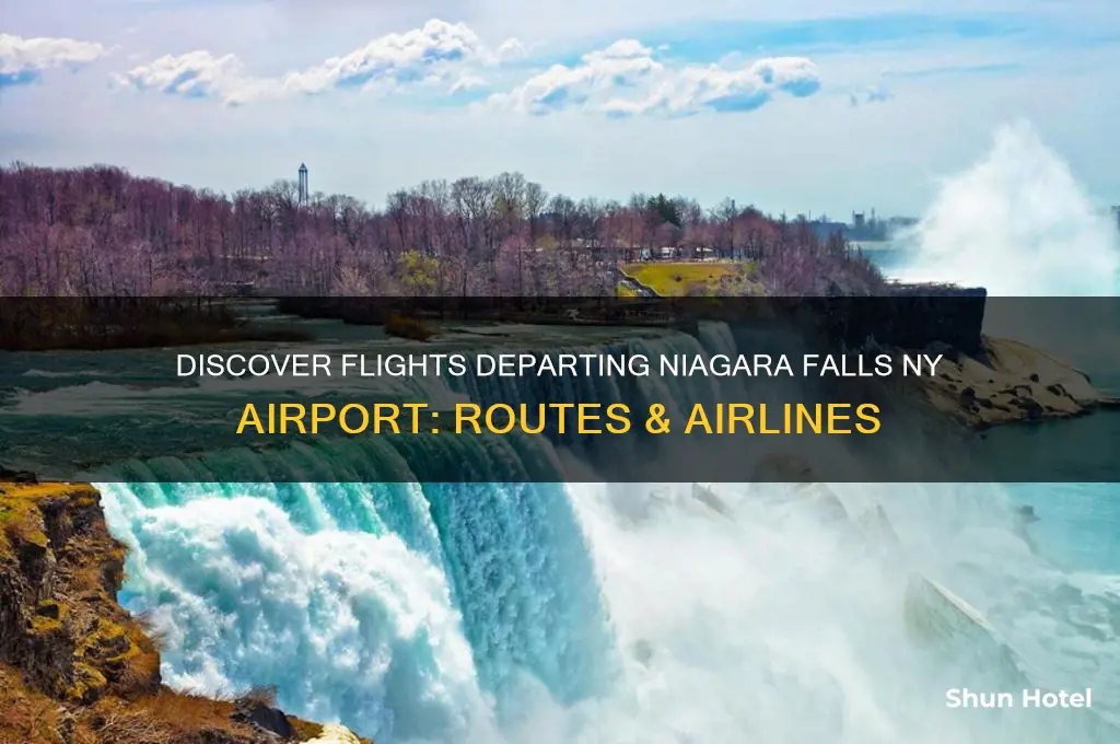 what planes fly out of niagara falls ny airport