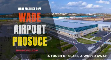 Wade Airport's Unique Resource: An Overview