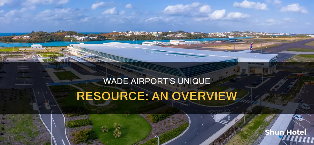 what recource does wade airport prosuce