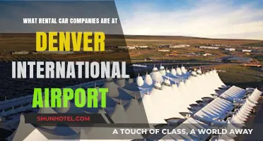 Denver Airport Car Rentals: Top Companies & Convenient Options