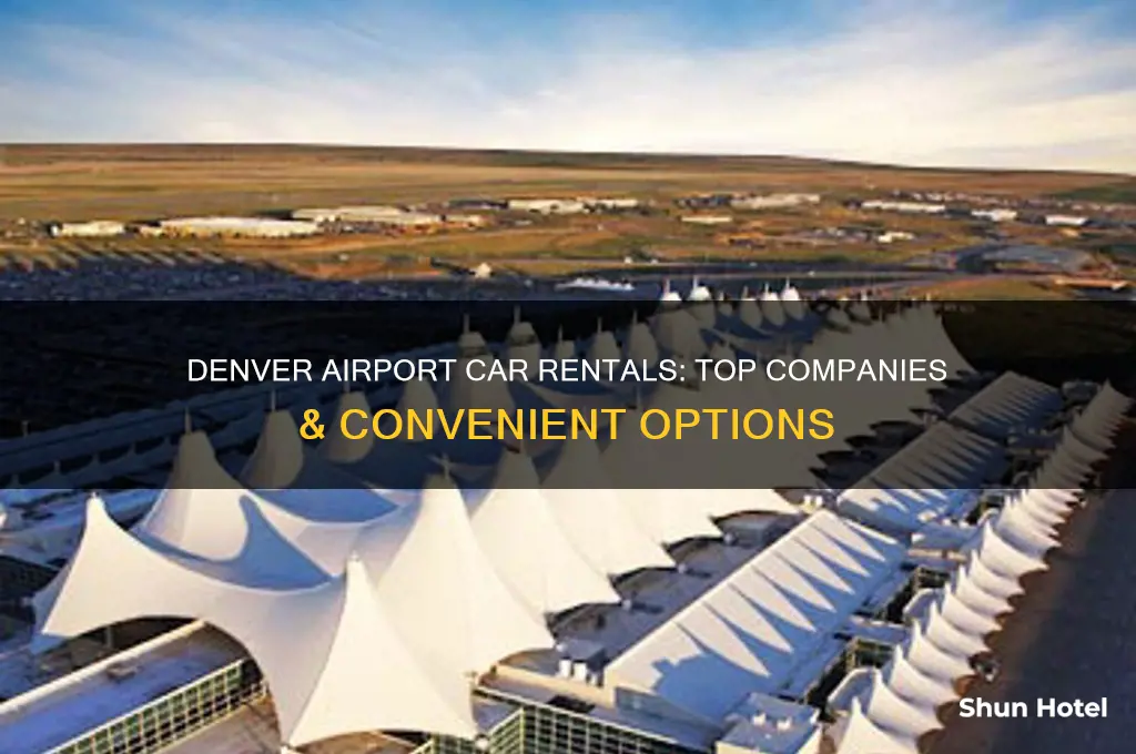 what rental car companies are at denver international airport