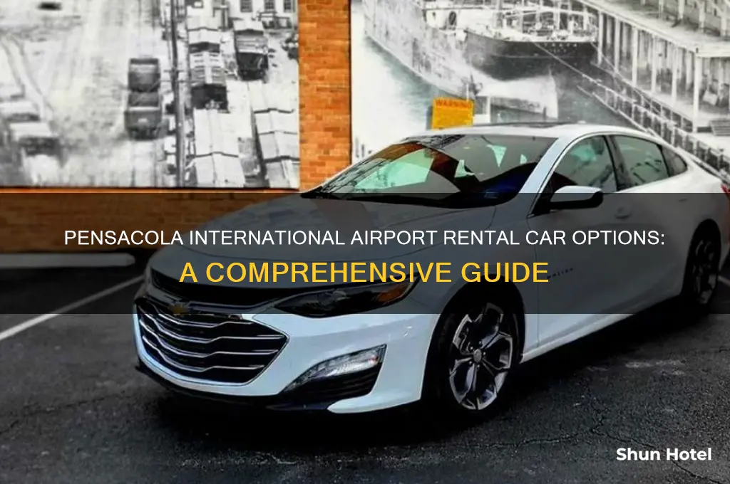 what rental car companies are at pensacola international airport