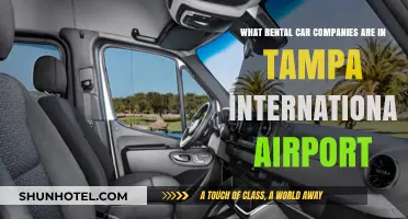 Tampa International Airport Rental Car Options: A Comprehensive Guide