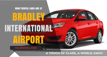 Explore Bradley International Airport's Diverse Rental Car Options Today