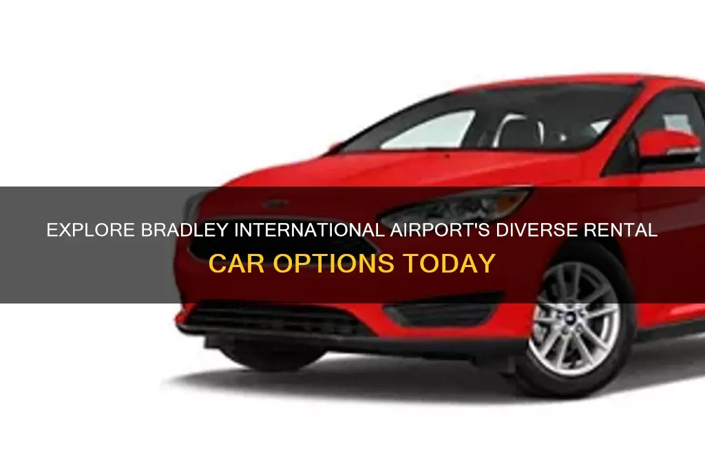 what rental cars are at bradley international airport
