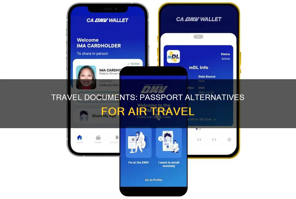 what replaces a passport at airport