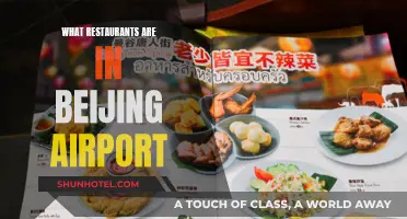 Dining Options at Beijing Airport: A Guide