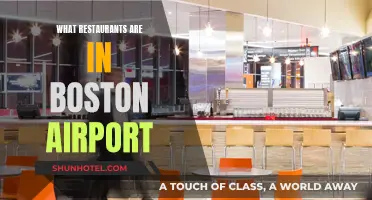 Boston Airport's Best Eateries: A Guide