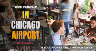 Explore Chicago Airport's Best Eateries