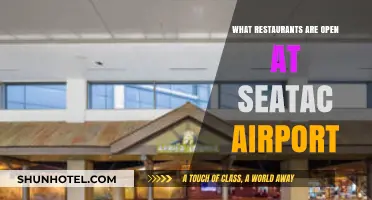 Seatac Airport Dining Guide: Restaurants Open for Hungry Travelers