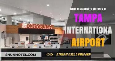 Tampa International Airport Dining Guide: Open Restaurants for Travelers