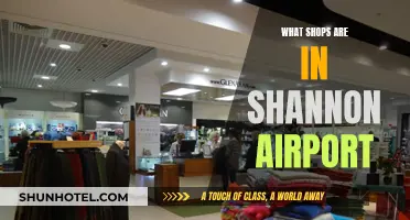 Shannon Airport's Best Shops: A Comprehensive Guide