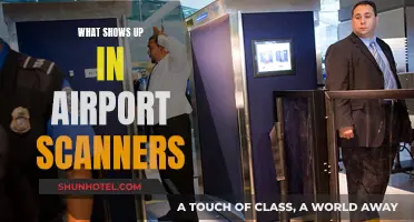 Airport Scanners: What They See and How They Work