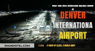 Norwegian Airlines Arrival Terminal at Denver International Airport Explained