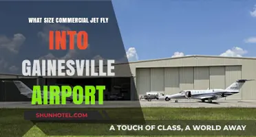 Commercial Jets Serving Gainesville Airport: Sizes and Operations Explained