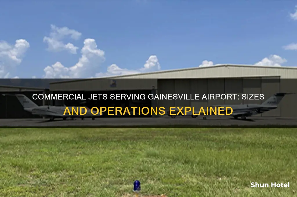 what size commercial jet fly into gainesville airport