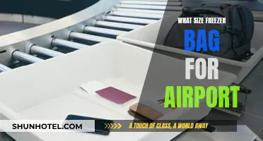 Freezer Bag Size Guide for Air Travel