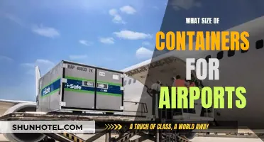 Airports' Container Conundrum: Standardizing for Efficiency and Security