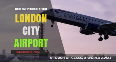 London City Airport: Exploring the Sizes of Planes Operating There