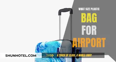 Plastic Bag Size Guide for Stress-Free Airport Security