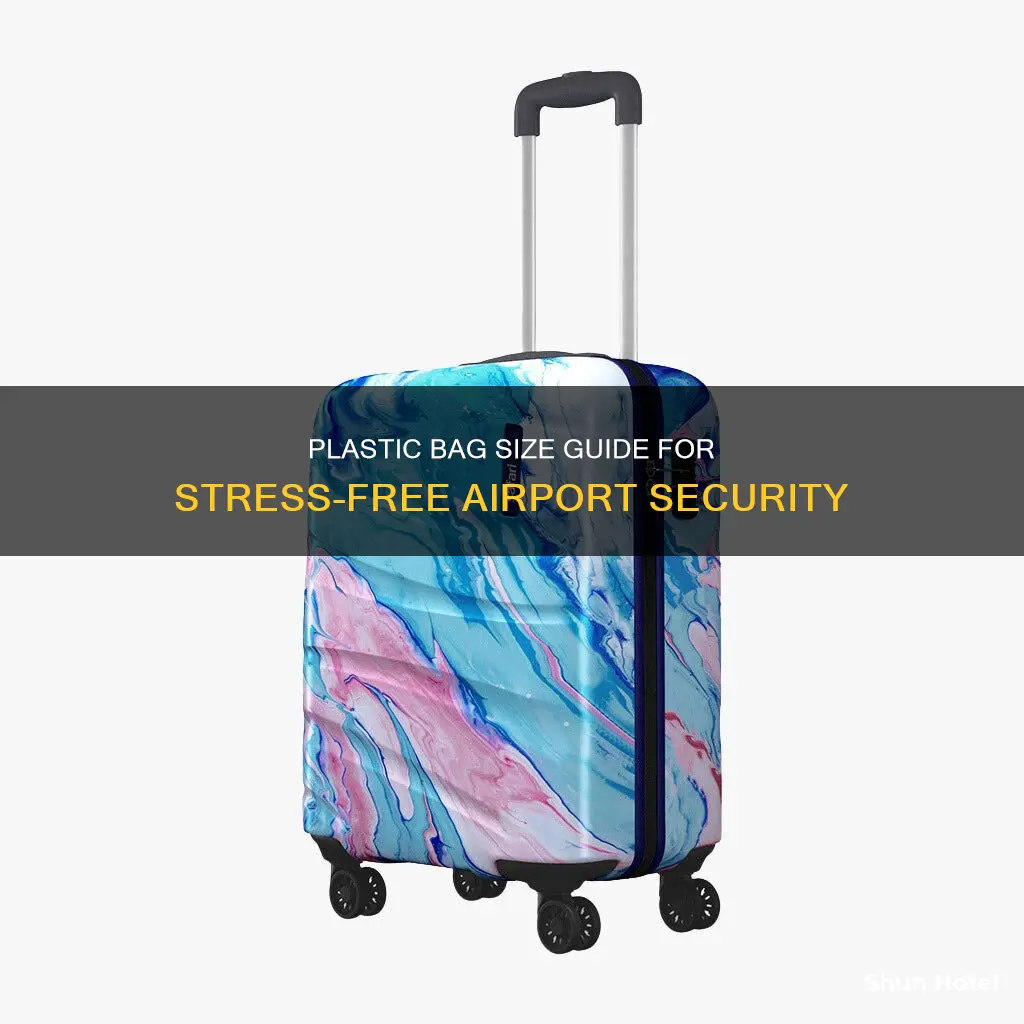 what size plastic bag for airport
