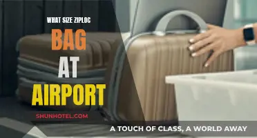 Air Travel Packing: Ziploc Bag Size Guide