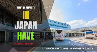 The Unique Features of Japanese Airports