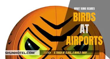 How Songs Scare Birds: Airport Edition