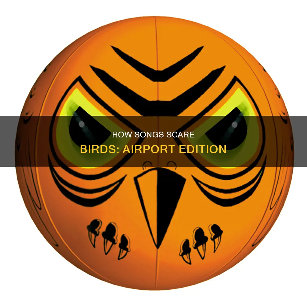 what song scares birds at airports