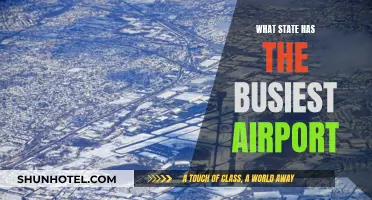 The Busiest Airport in the US: Which State Wins?