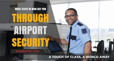 Can Your State ID Pass Airport Security Checks? Find Out Now