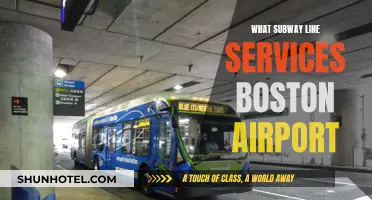 Boston's Blue Line: Quick Access to Logan Airport and Beyond