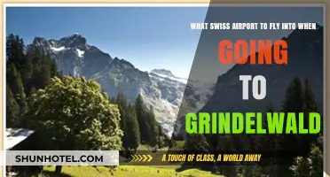 Best Swiss Airport for Grindelwald: Your Ultimate Travel Guide