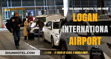Top Taxi Services for Logan International Airport Travel