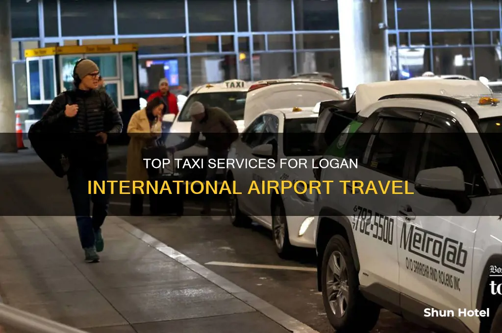 what taxi service operates to and from logan international airport