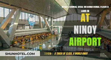International Flights Terminal Guide: Landing at Ninoy Aquino Airport