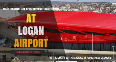 Delta International Flights Terminal Guide at Logan Airport Boston