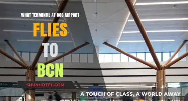 Which Terminal at Boston Logan Airport Serves Flights to Barcelona?
