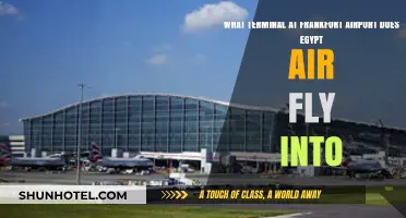 EgyptAir's Frankfurt Airport Terminal: A Quick Guide for Travelers