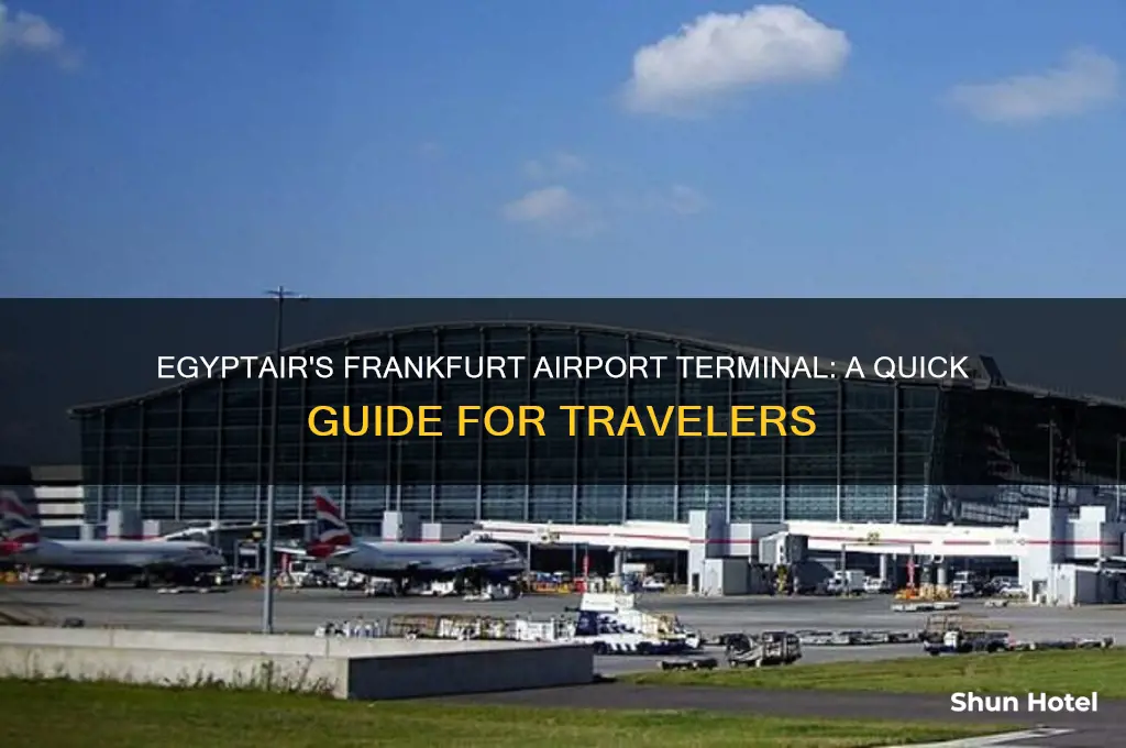 what terminal at frankfurt airport does egypt air fly into