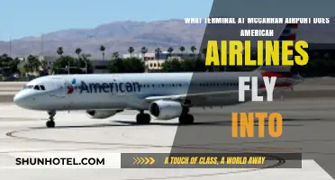 American Airlines Terminal Guide: Navigating McCarran Airport Arrivals