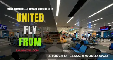 United Airlines Terminal Guide: Navigating Newark Airport's Departures