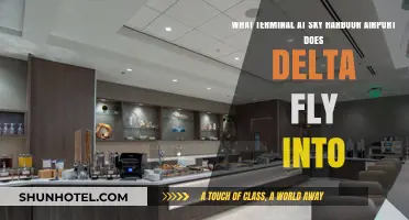 Delta's Terminal at Sky Harbor Airport: A Quick Guide