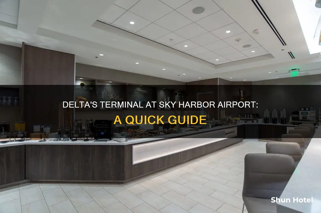 what terminal at sky harbour airport does delta fly into
