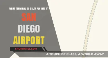 Delta's San Diego Terminal: A Guide to Navigating SAN Airport
