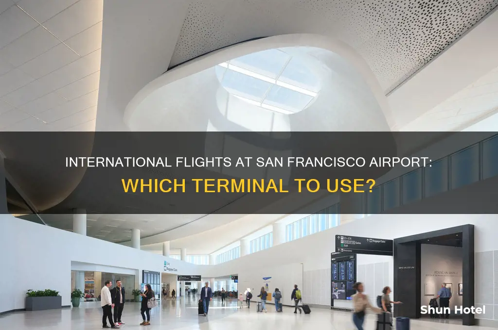 what terminal do international flights depart francisco international airport