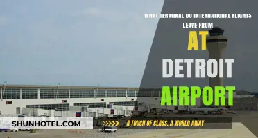 Navigating Detroit Airport: International Flight Terminal Guide for Travelers