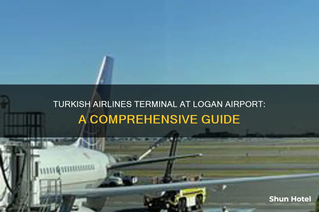 what terminal do turkish airlines fly out of logan airport